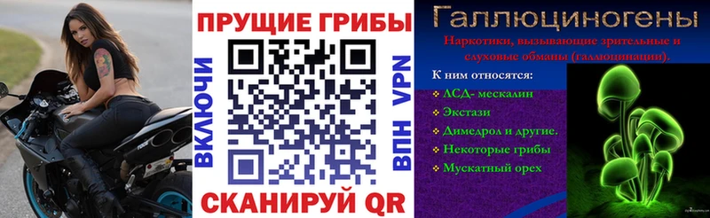 Псилоцибиновые грибы ЛСД  Шумиха 